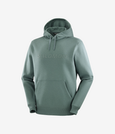 SALOMON LOGO - SalomonGCC